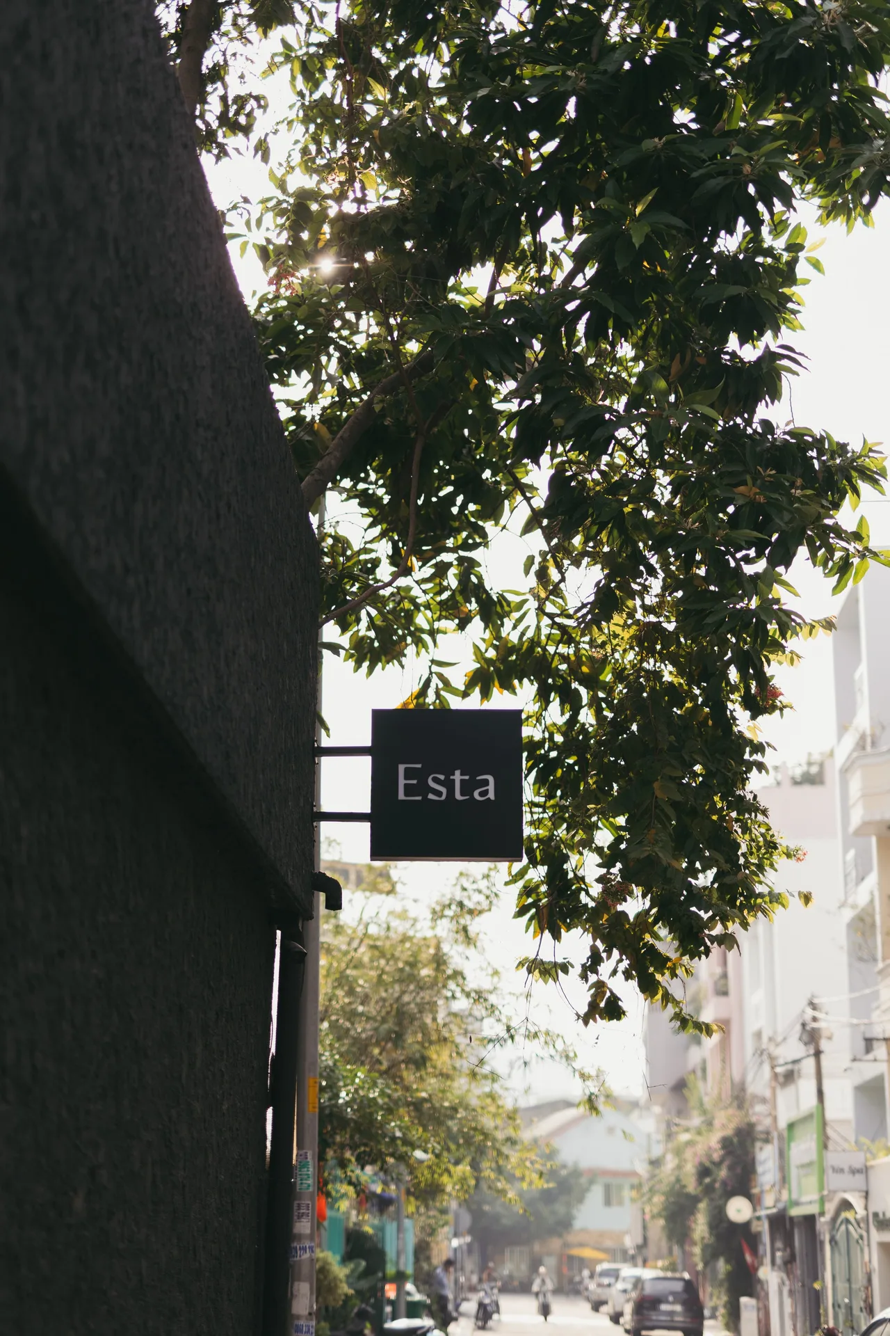 Esta — photo 11