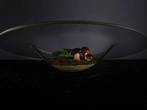 Podere Belvedere Tuscany — food