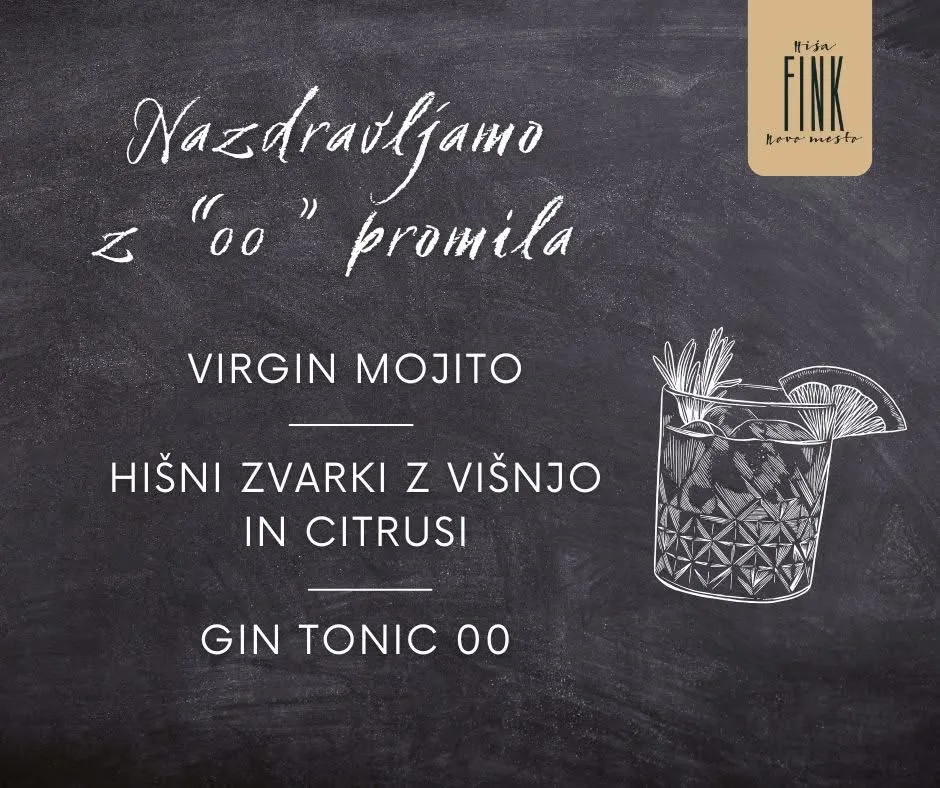 Hiša Fink — photo 72