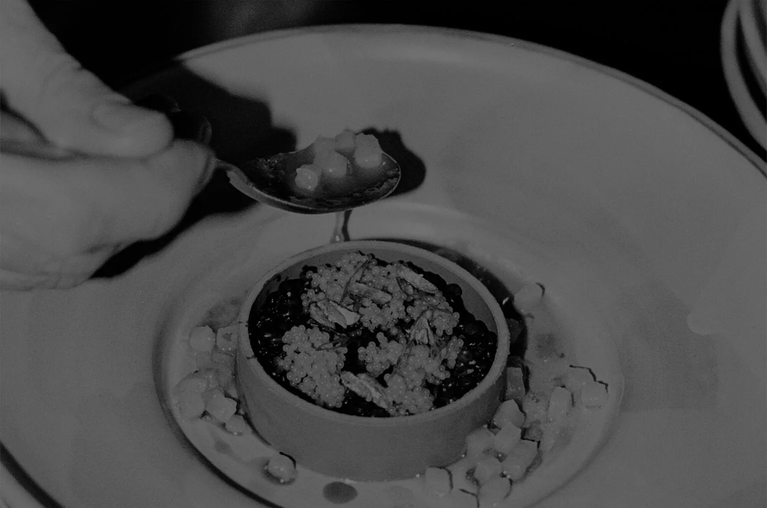 Mochi — photo 28