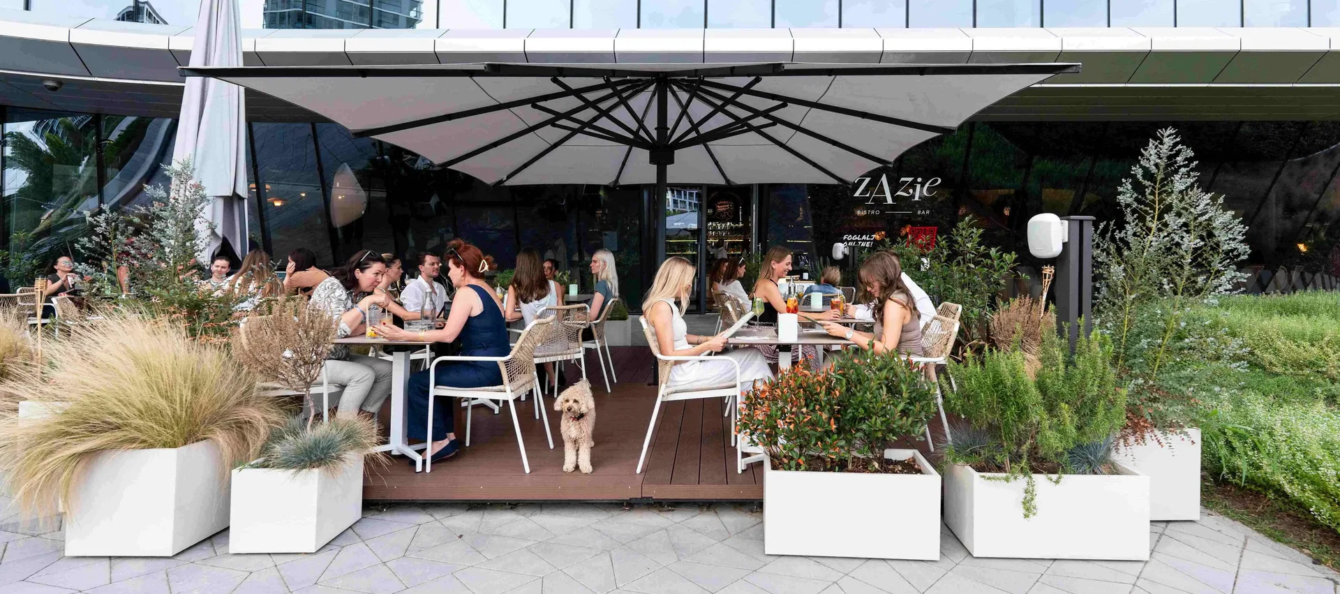 Zazie Bistro — photo 28