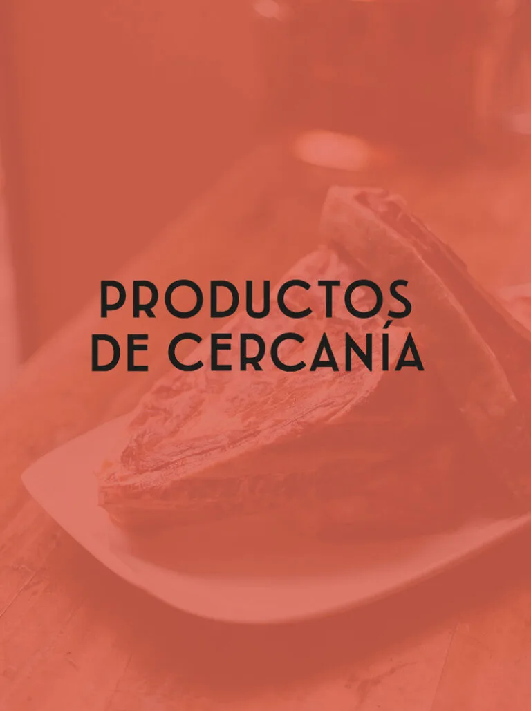 Marcela — photo 16