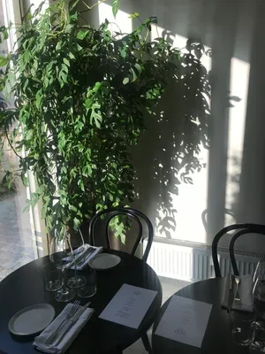 Bistrot L'îlot — photo 24
