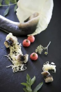 LE JARDIN GOURMAND, Hiroshima