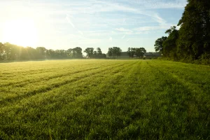 Landgoed de Holtweijde — atmosphere