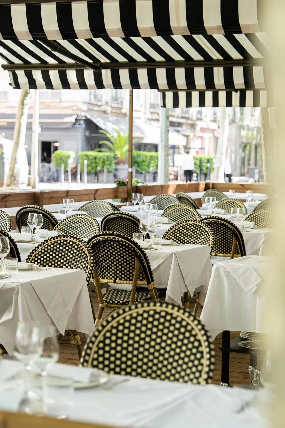 Brasserie Roseaux — photo 9