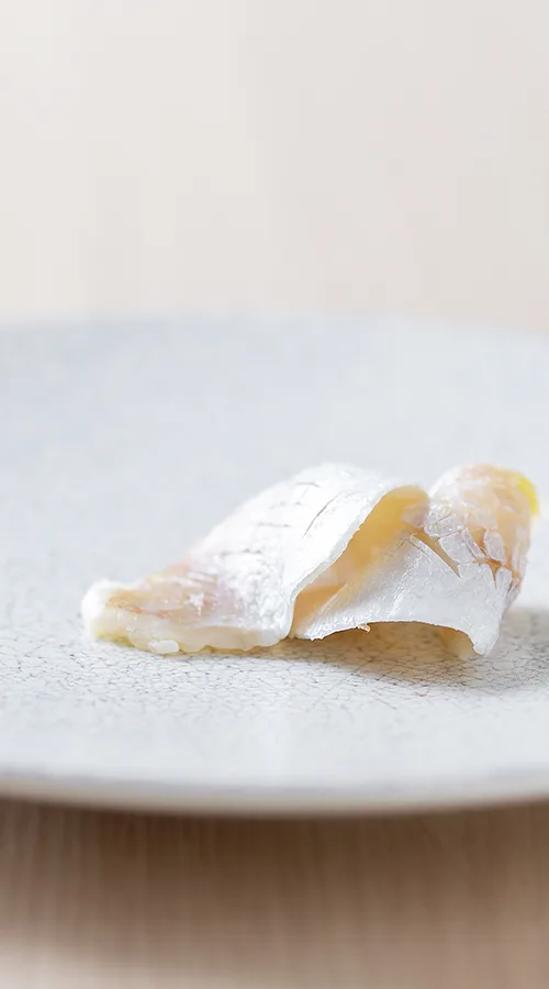Saketosakana DNA, Kyoto
