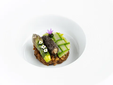 Petrus — photo 26