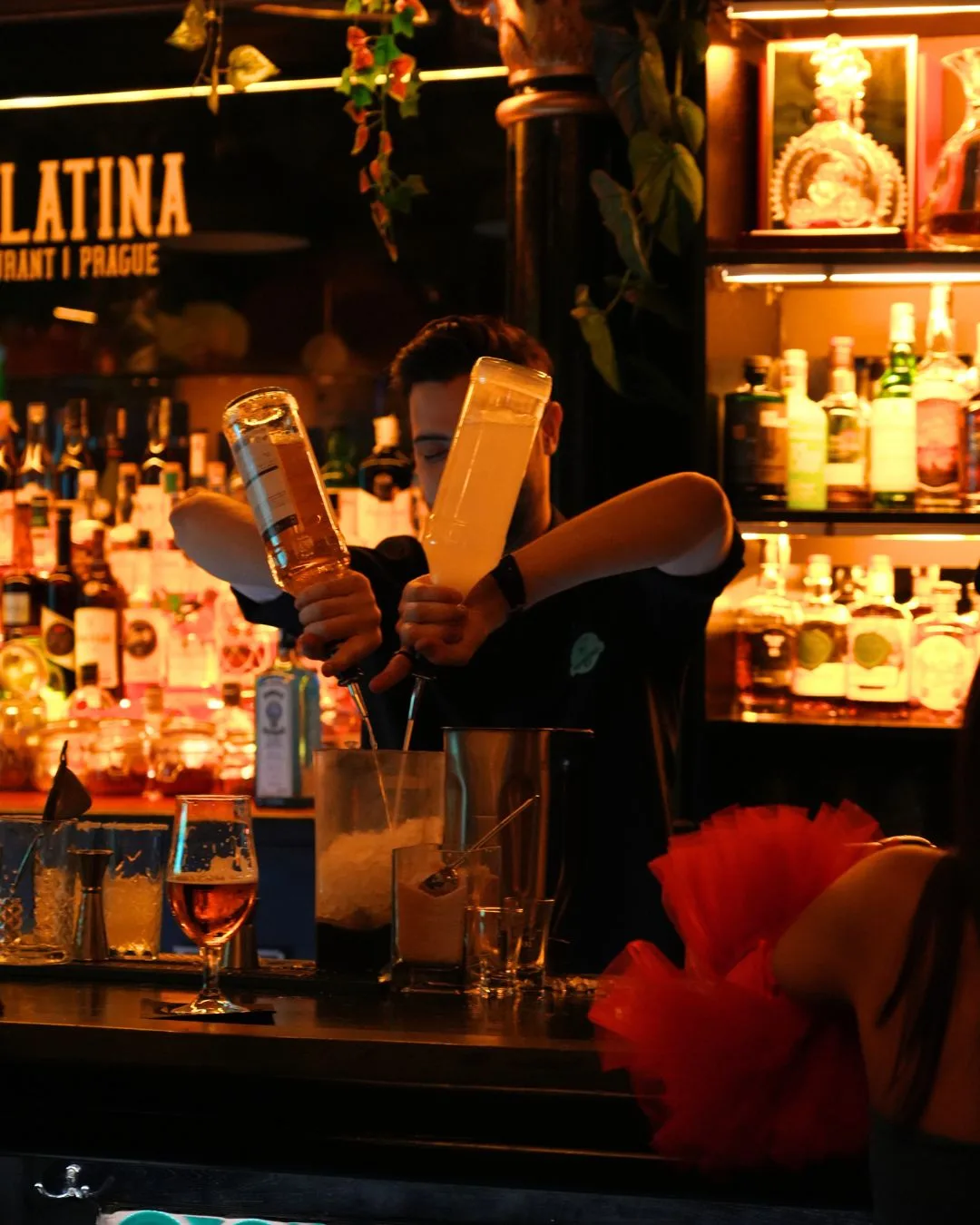 La Casa Latina — photo 82