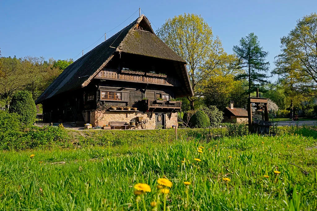 Gasthaus zum Pflug — photo 25