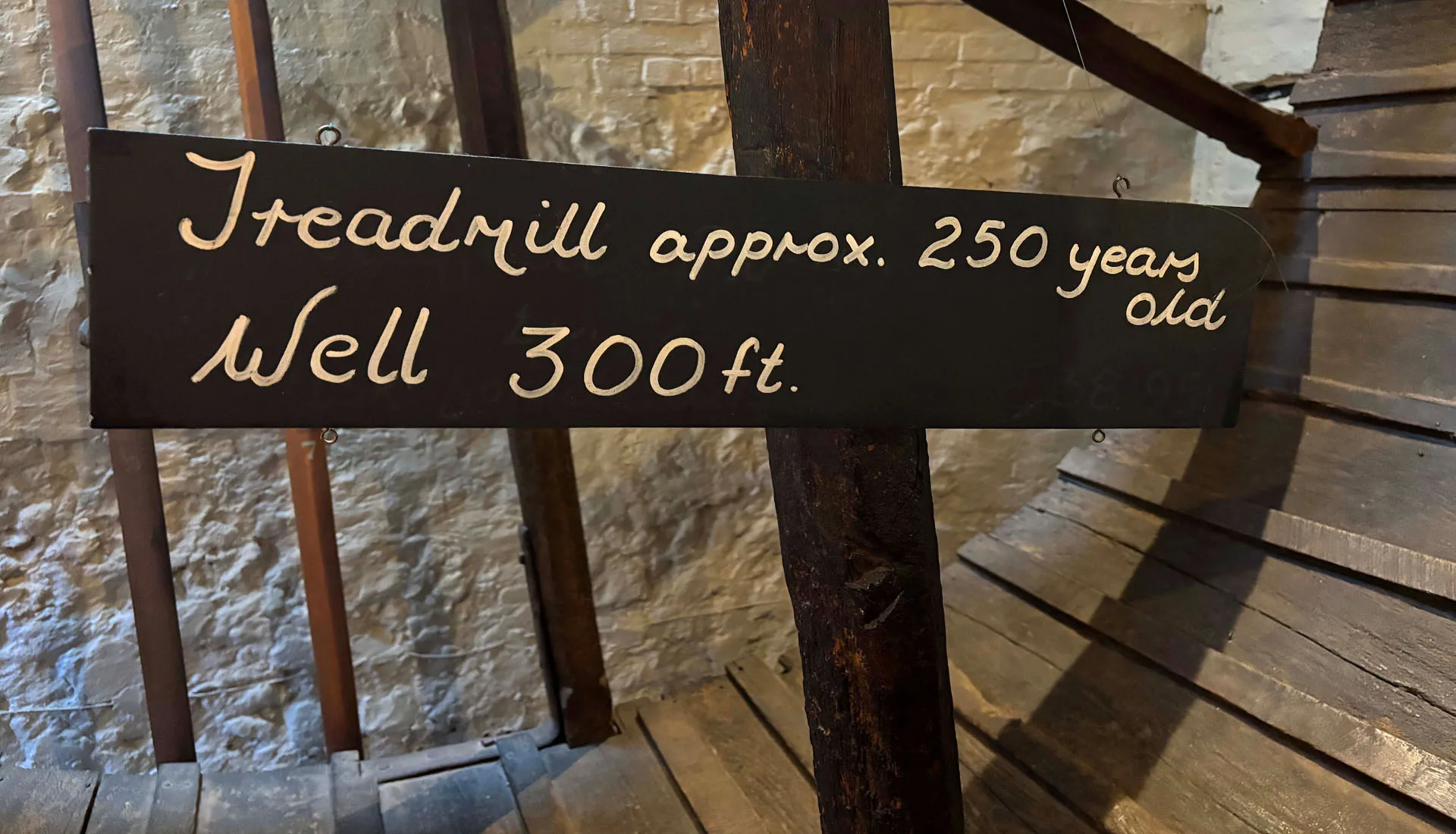 The Milbury at Beauworth — photo 40