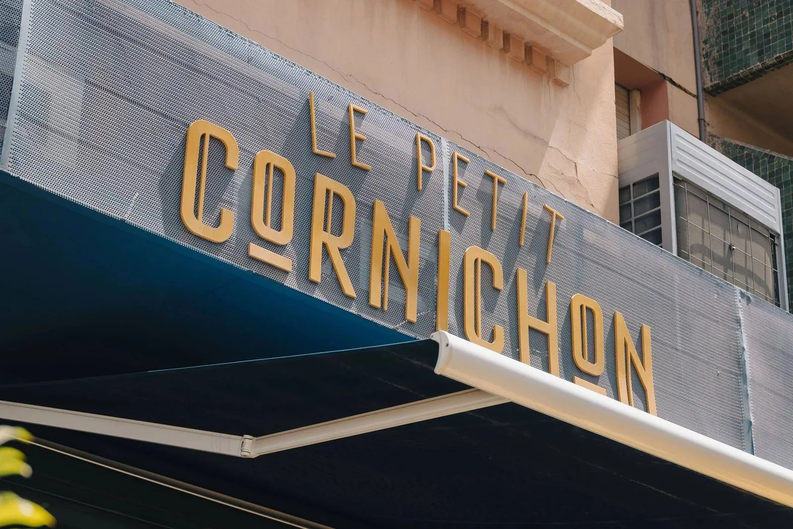 Le petit cornichon — photo 37