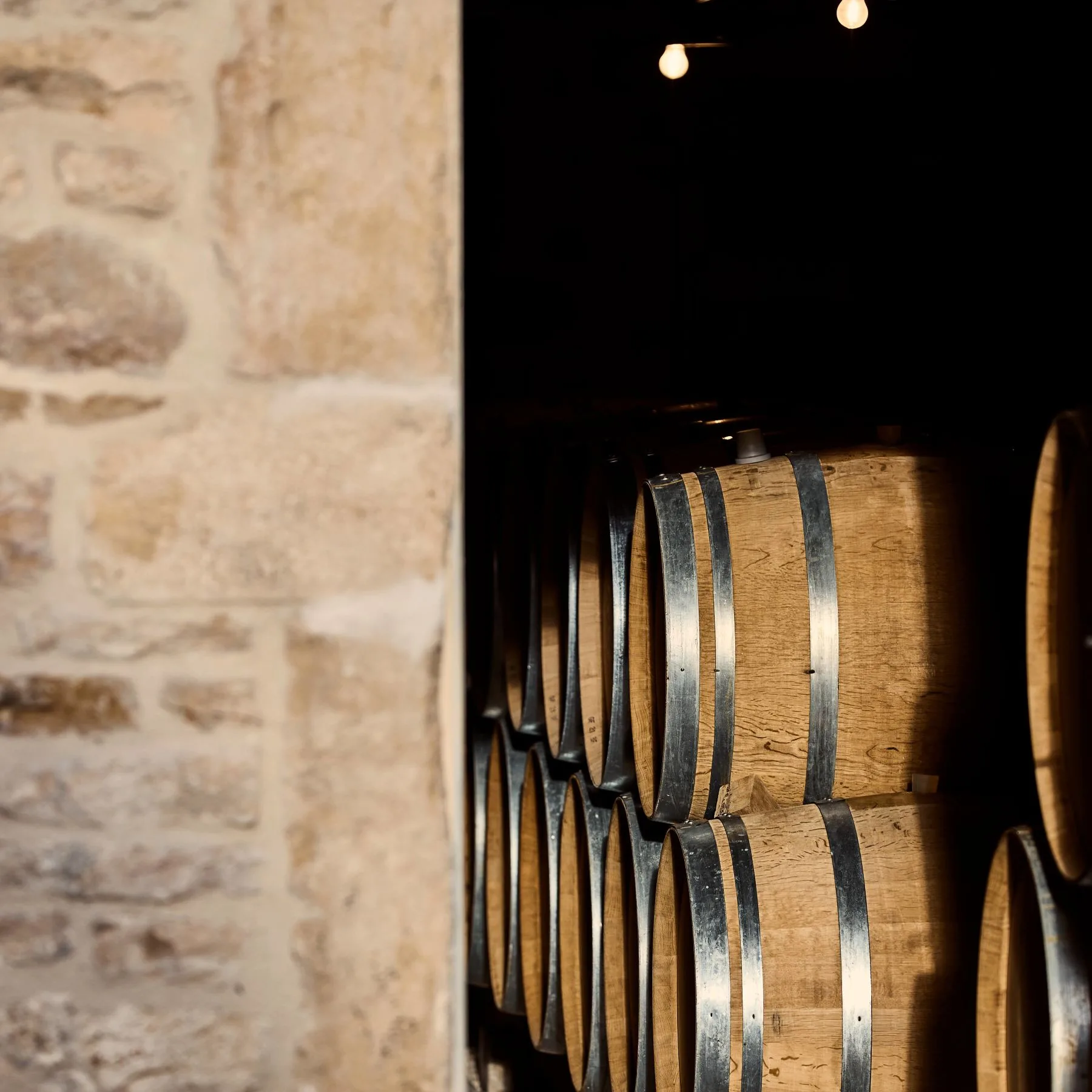 Le Montrachet — photo 63