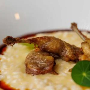 /gu.stà.re/ oltrecucina — photo 10