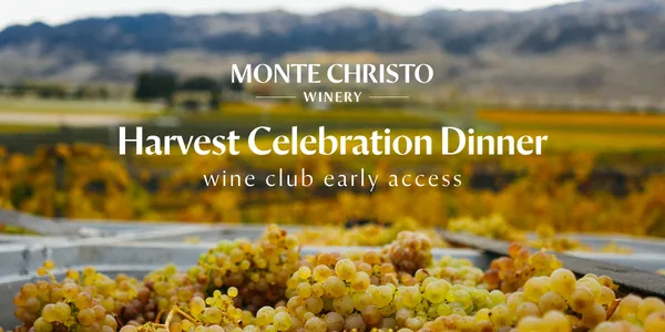 Monte Christo Winery — photo 57