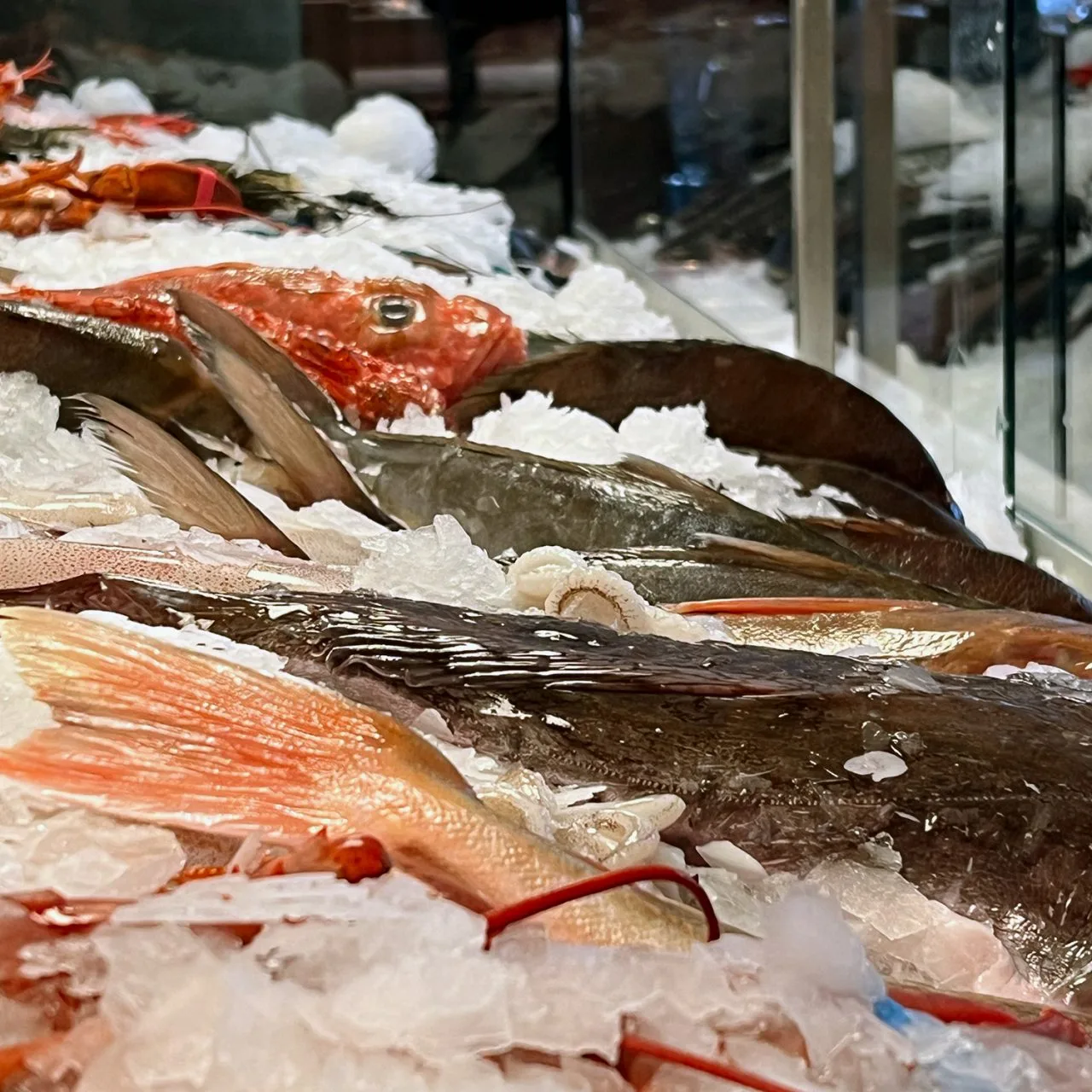 Pescheria — photo 19