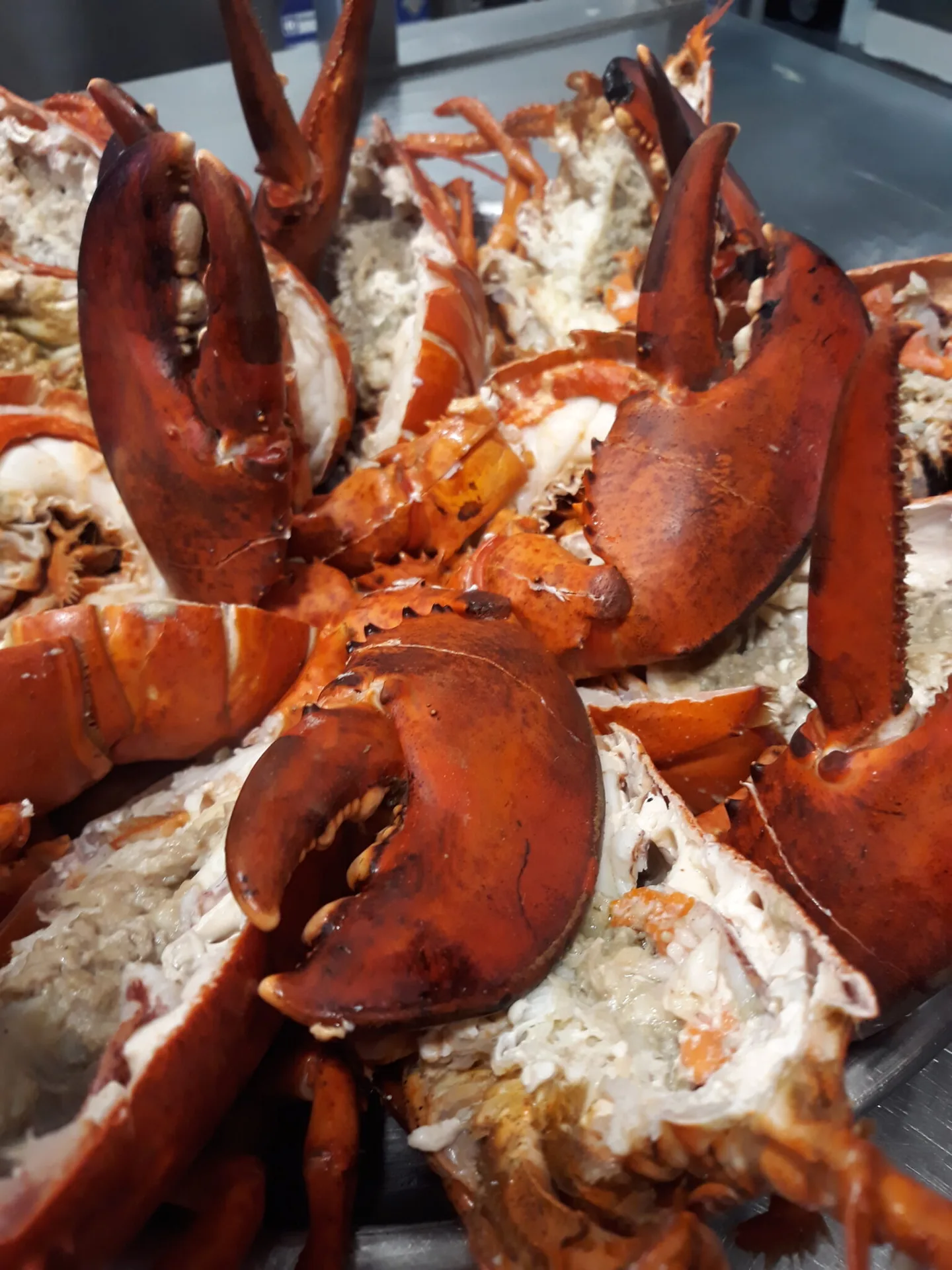 The Blue Lobster — photo 18