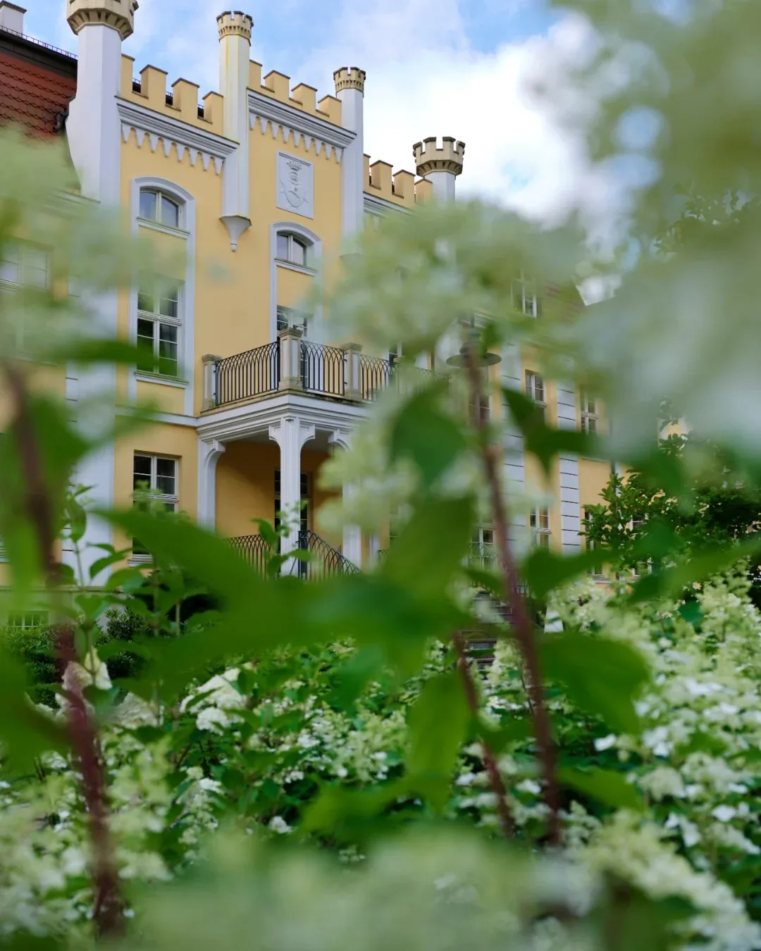 Biały Królik — photo 10
