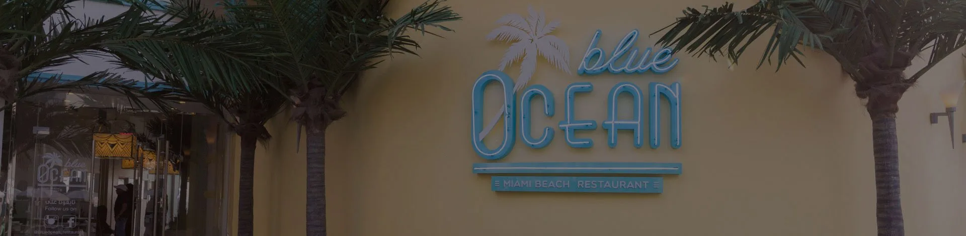 Blue Ocean — photo 39