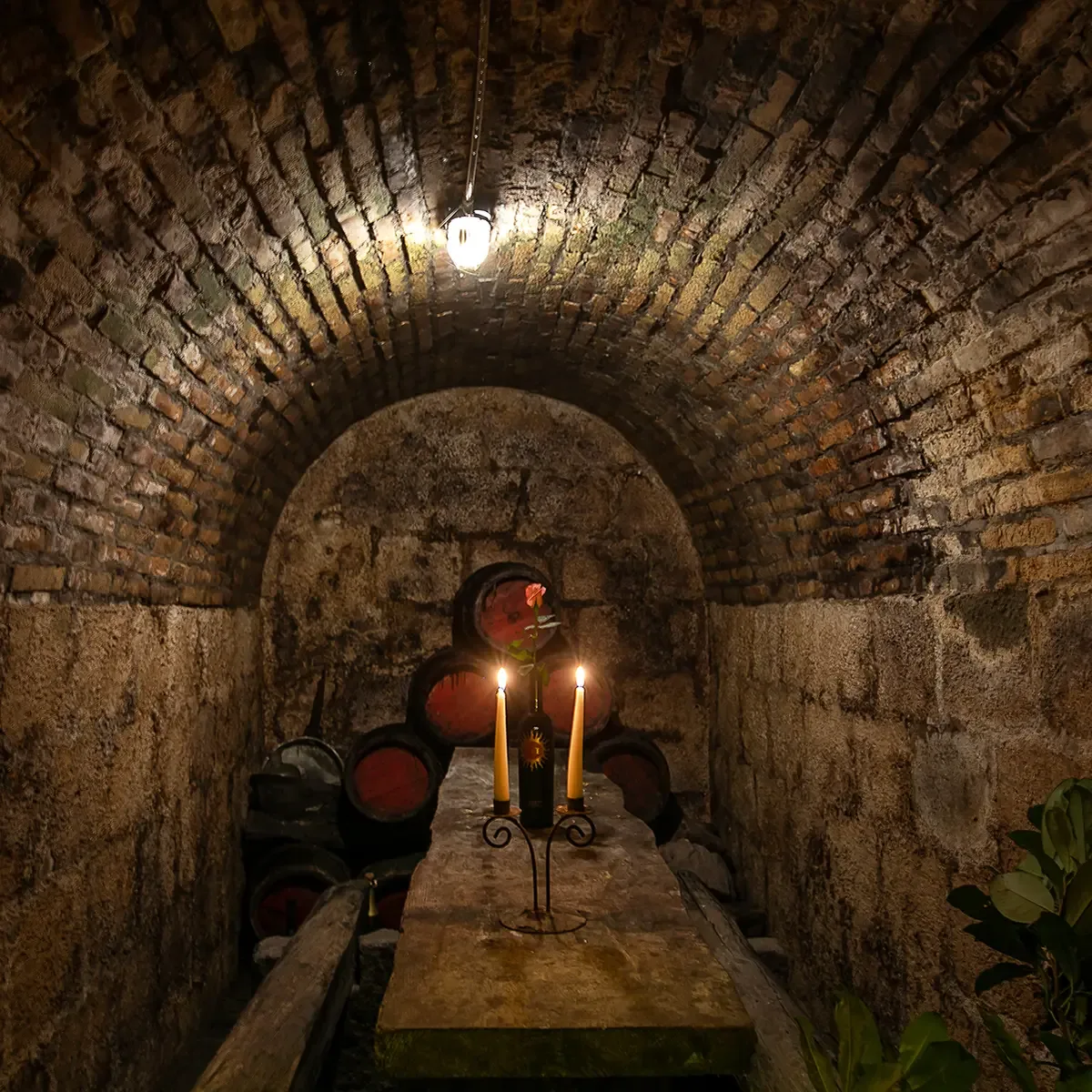 Taverna dello Spuntino — photo 32