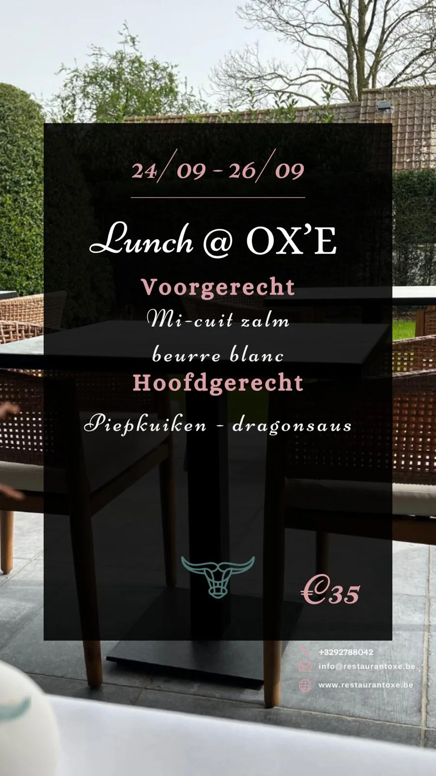 OX’E — photo 21
