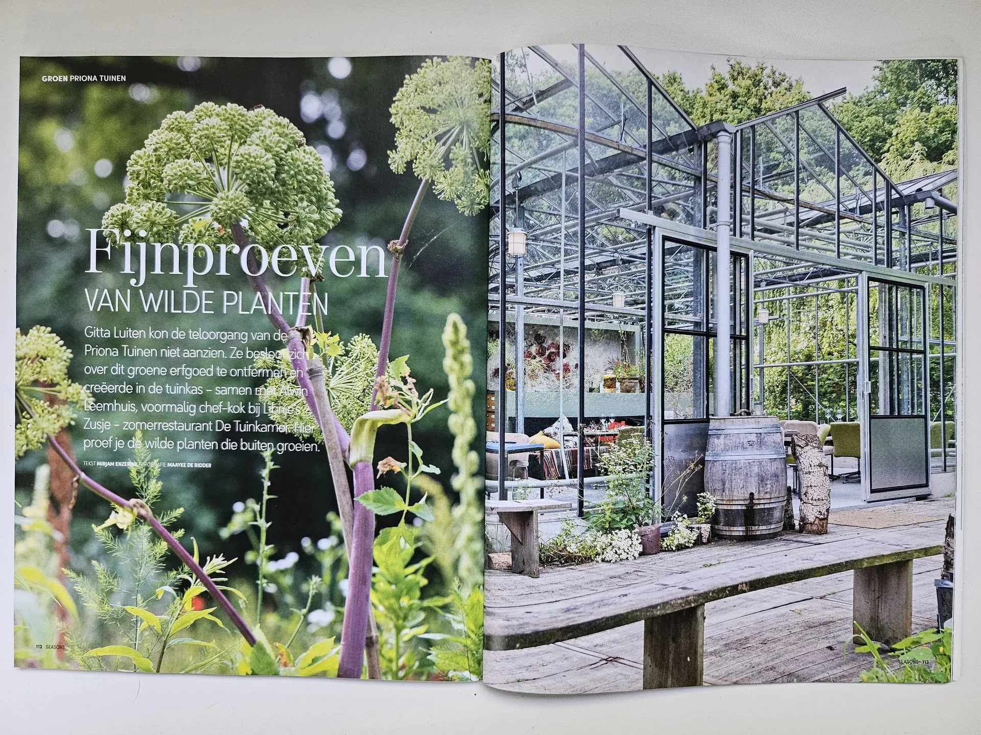 Zomerrestaurant De Tuinkamer — photo 40