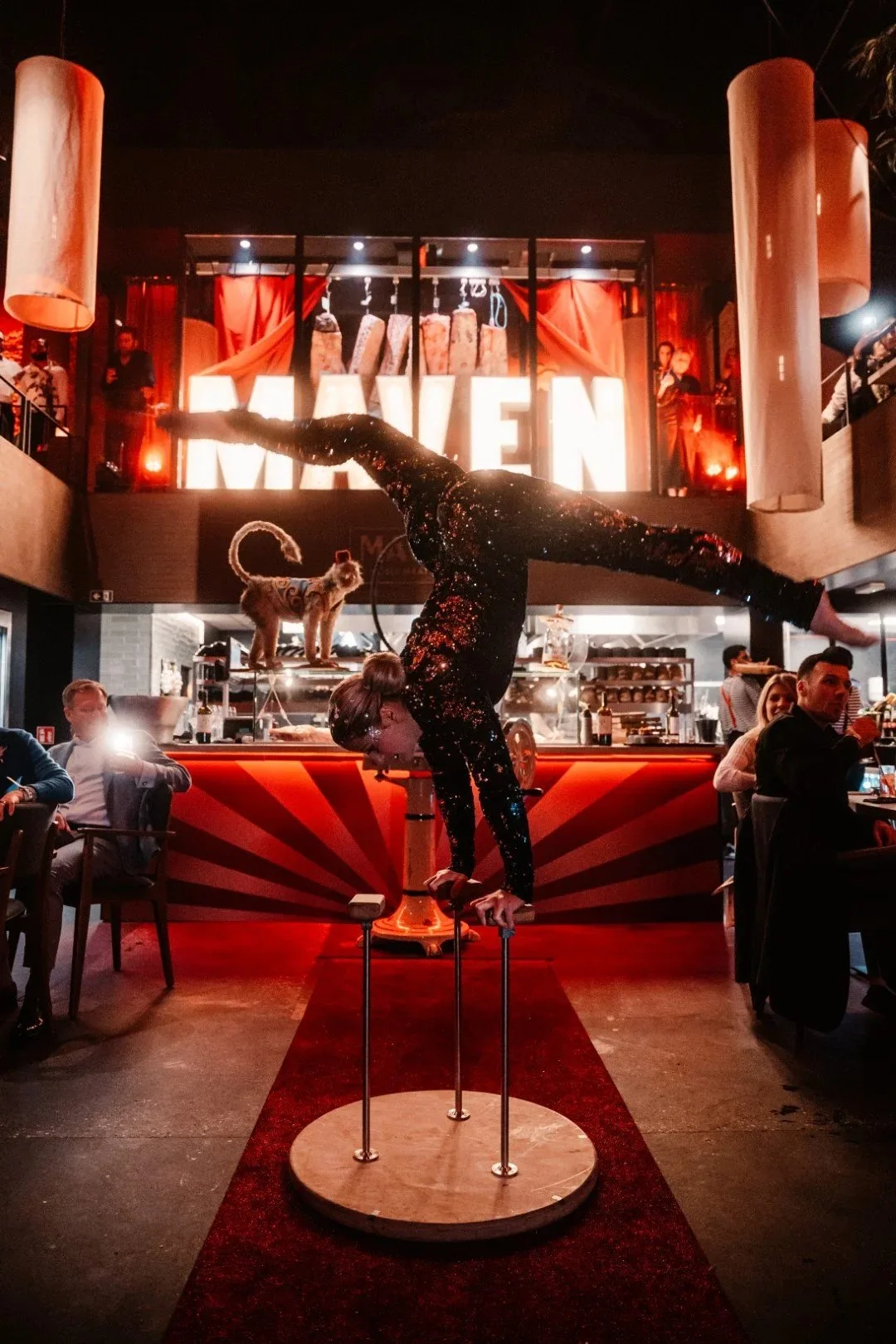 Maven — photo 41