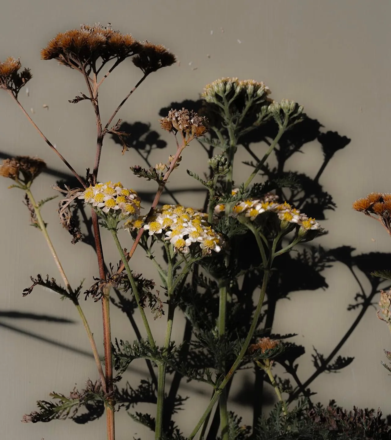 REASON — photo 23
