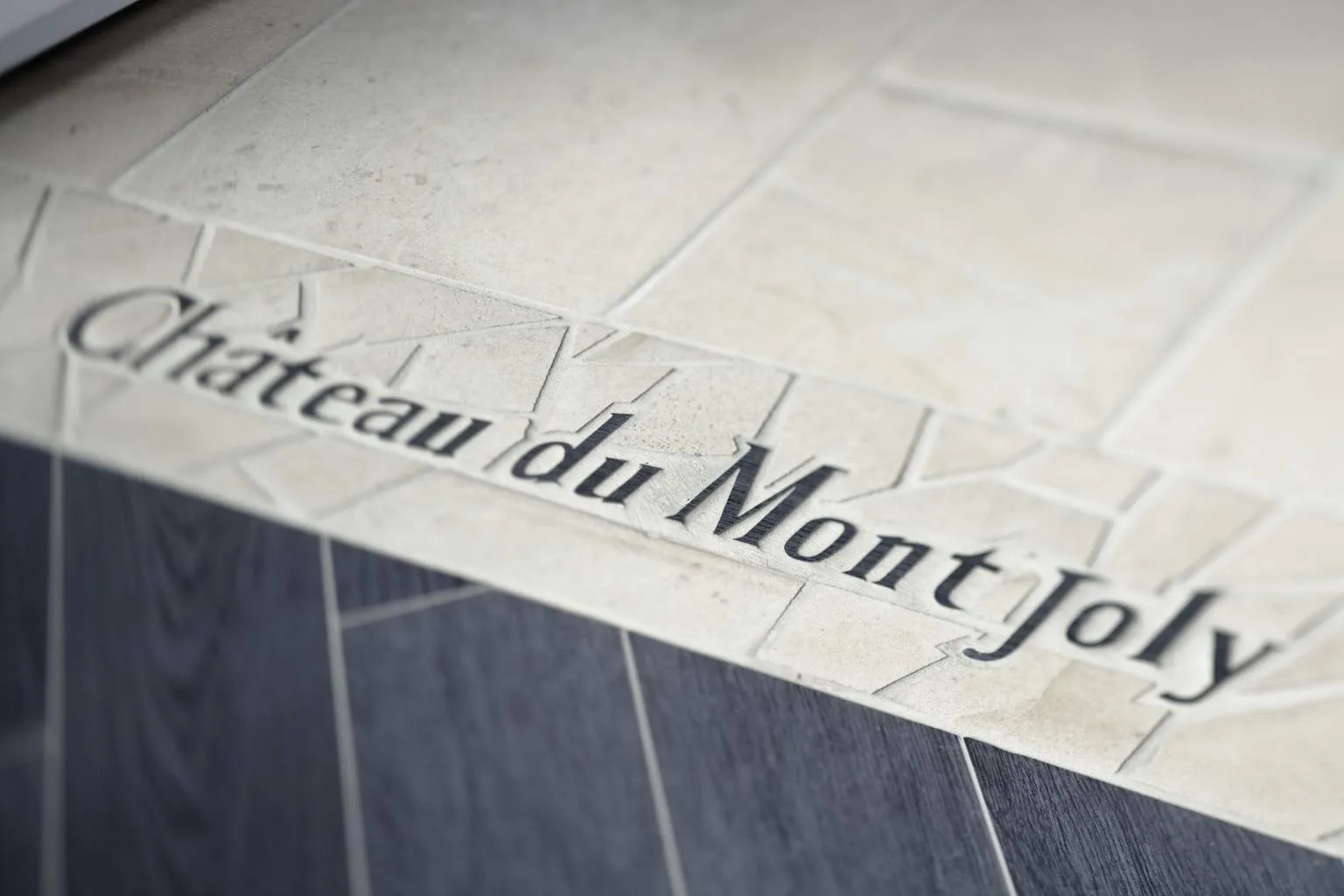 Château du Mont Joly — photo 10