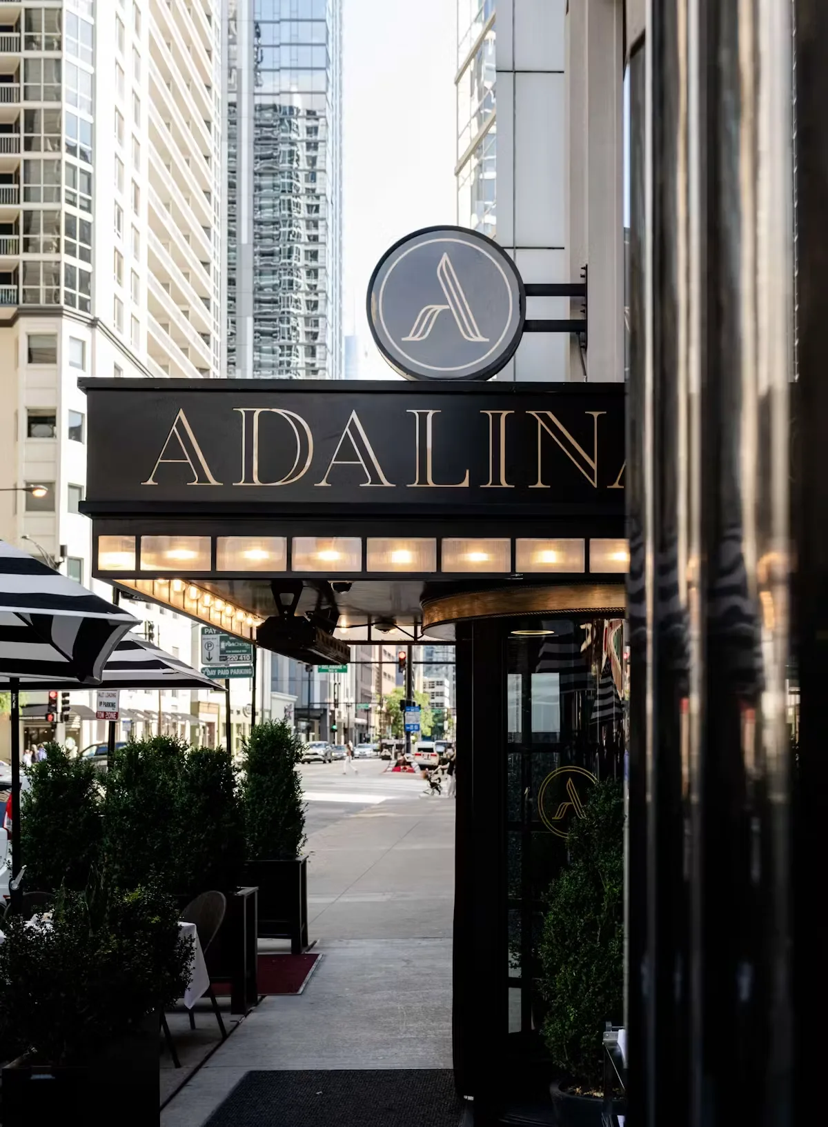 Adalina — photo 30