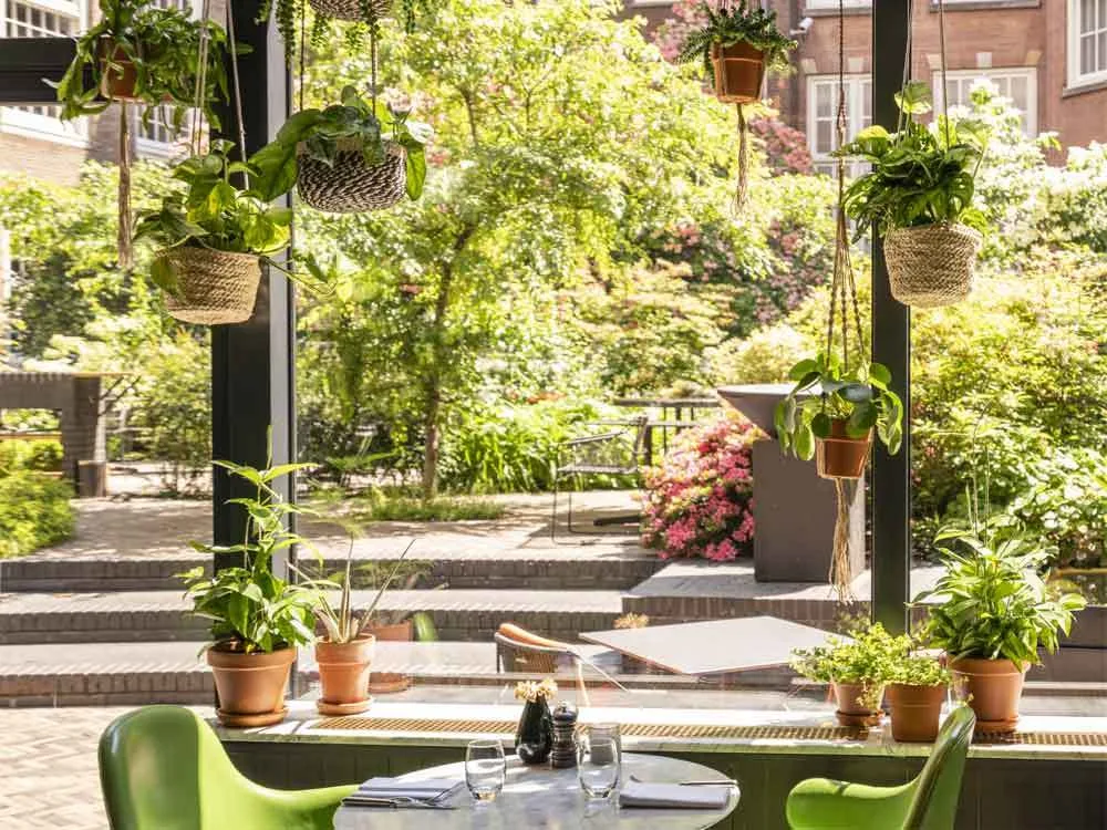Oriole Garden Bistro — photo 24
