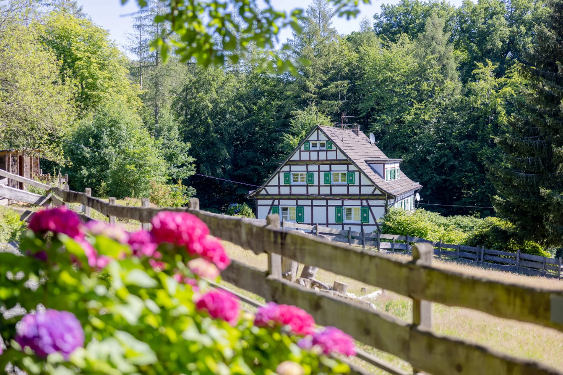 Bergische Schweiz — photo 6