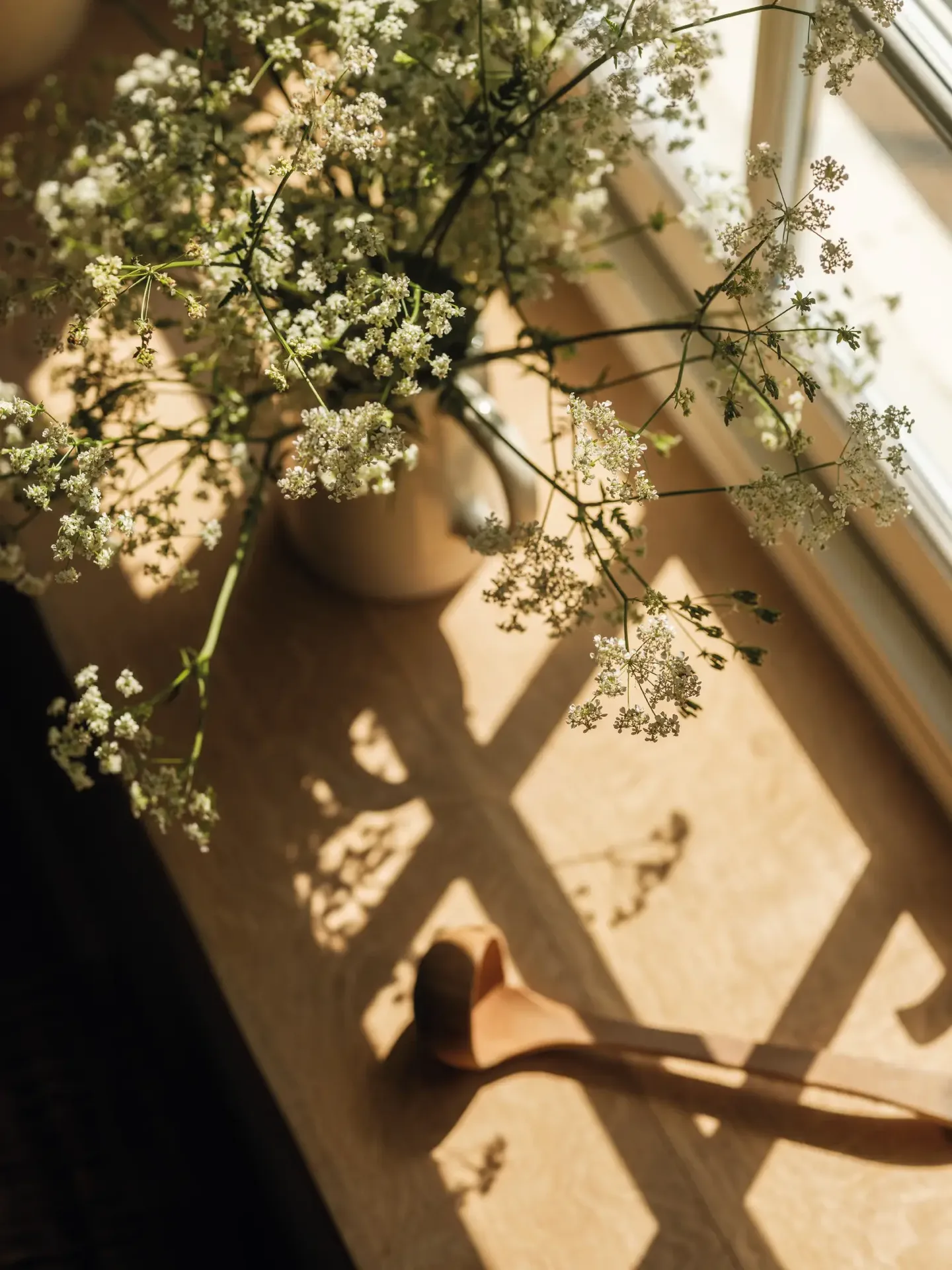 Osip — photo 14