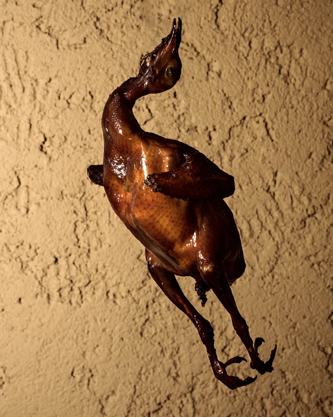 Sushi Kaneyoshi — photo 12
