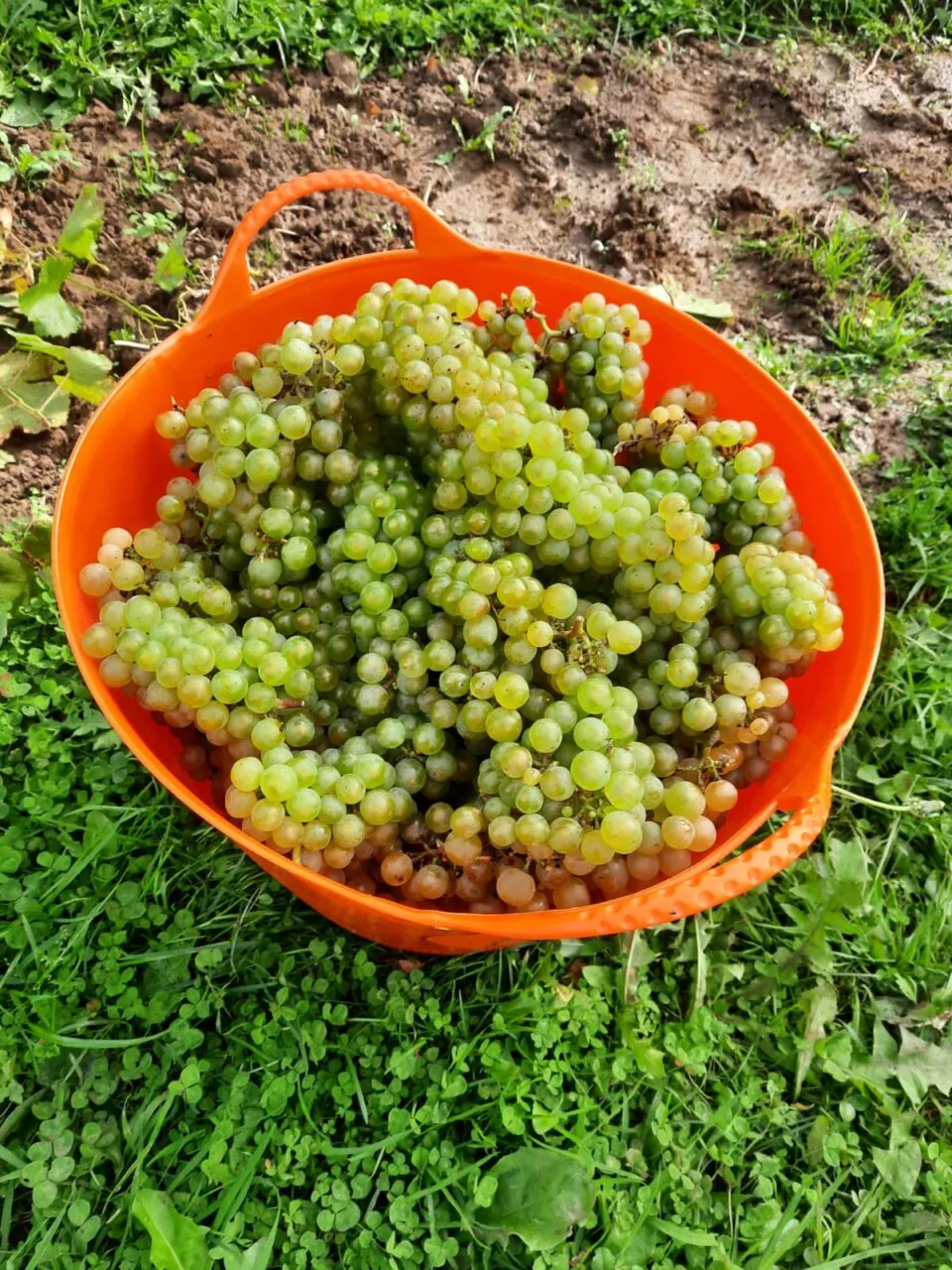 Marsnil — photo 38