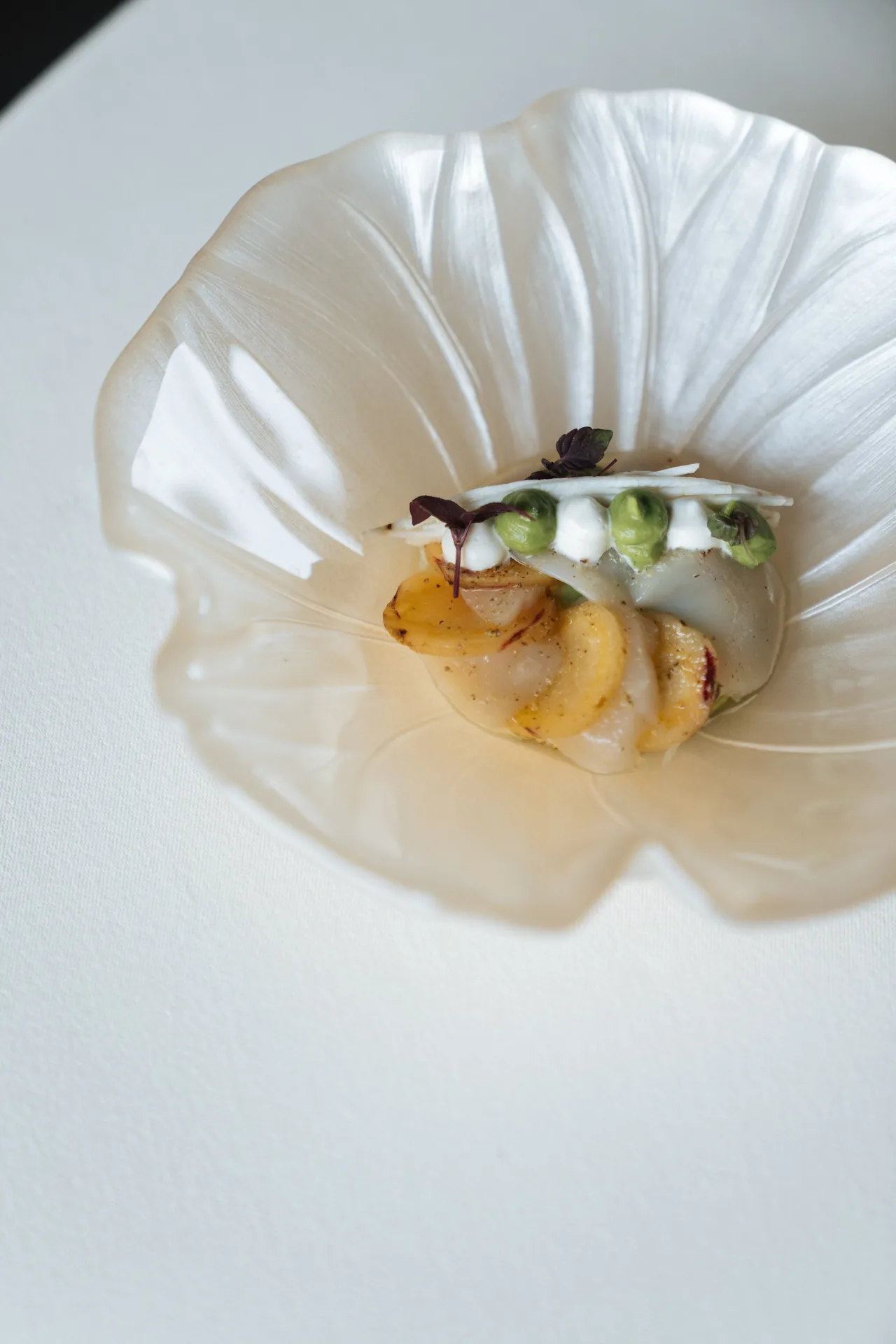Nast — photo 12