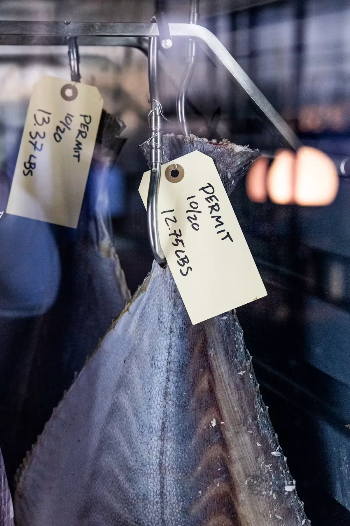 Automatic Seafood and Oysters — photo 40