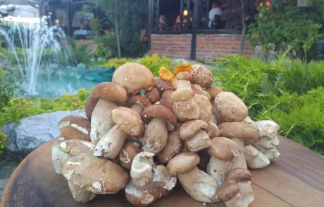 Mala Hiza — photo 31