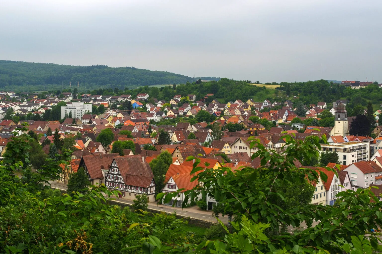 Landgasthaus Maien — photo 17