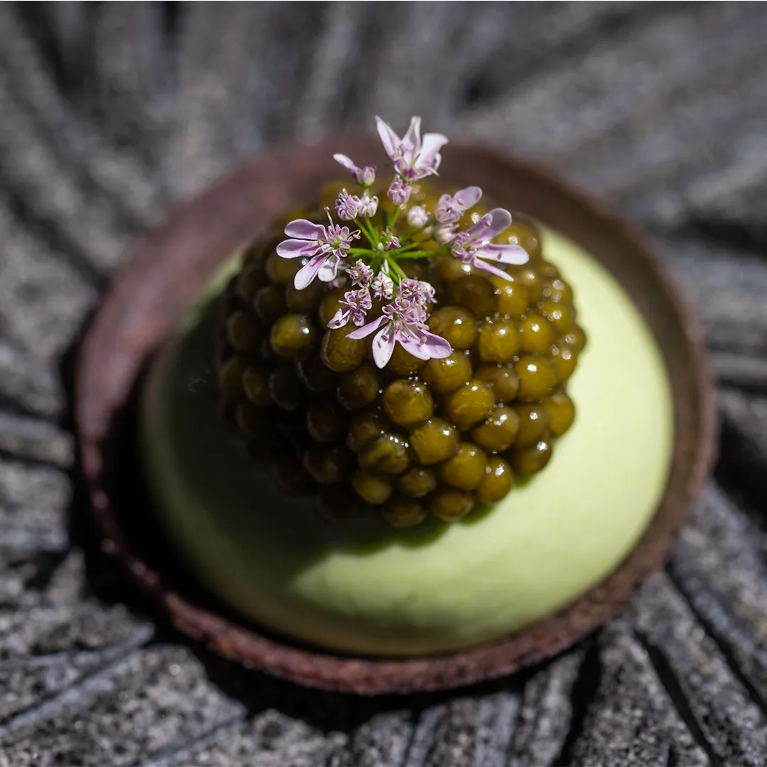 Californios — photo 6