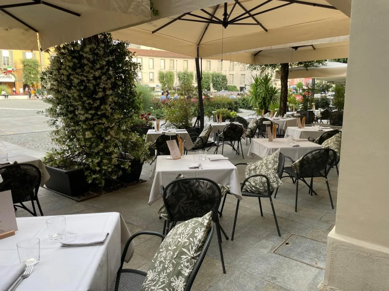 Enoclub — photo 15