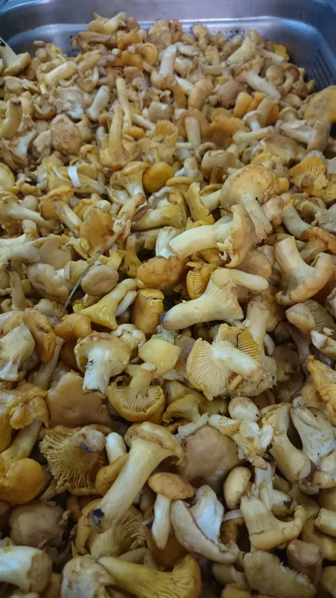 Les Saisons Gourmandes — photo 27