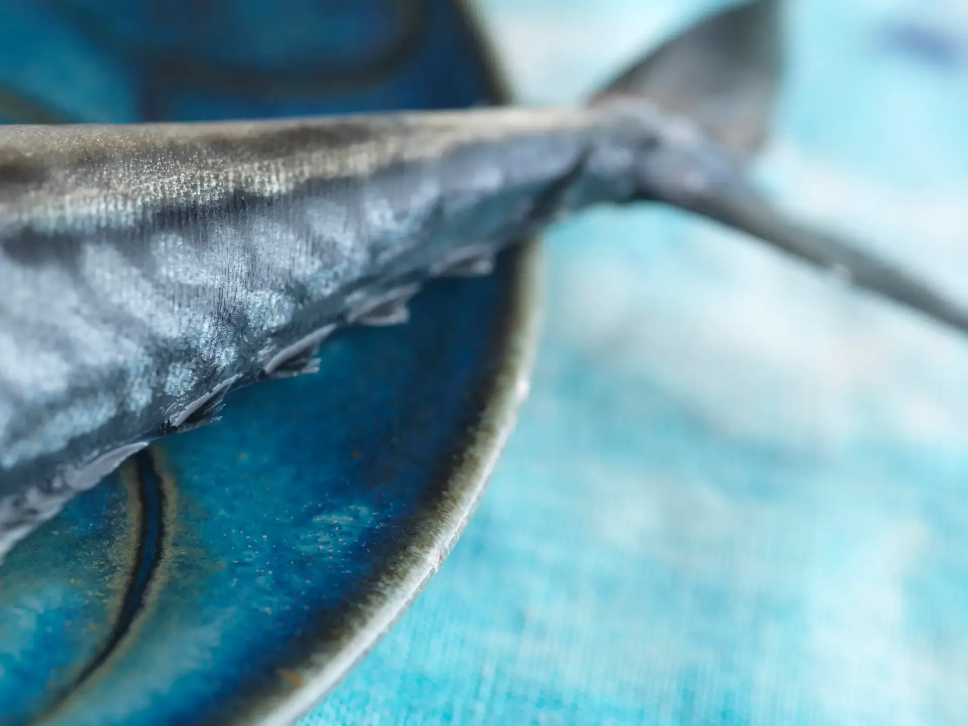 Blue Water Café — photo 11