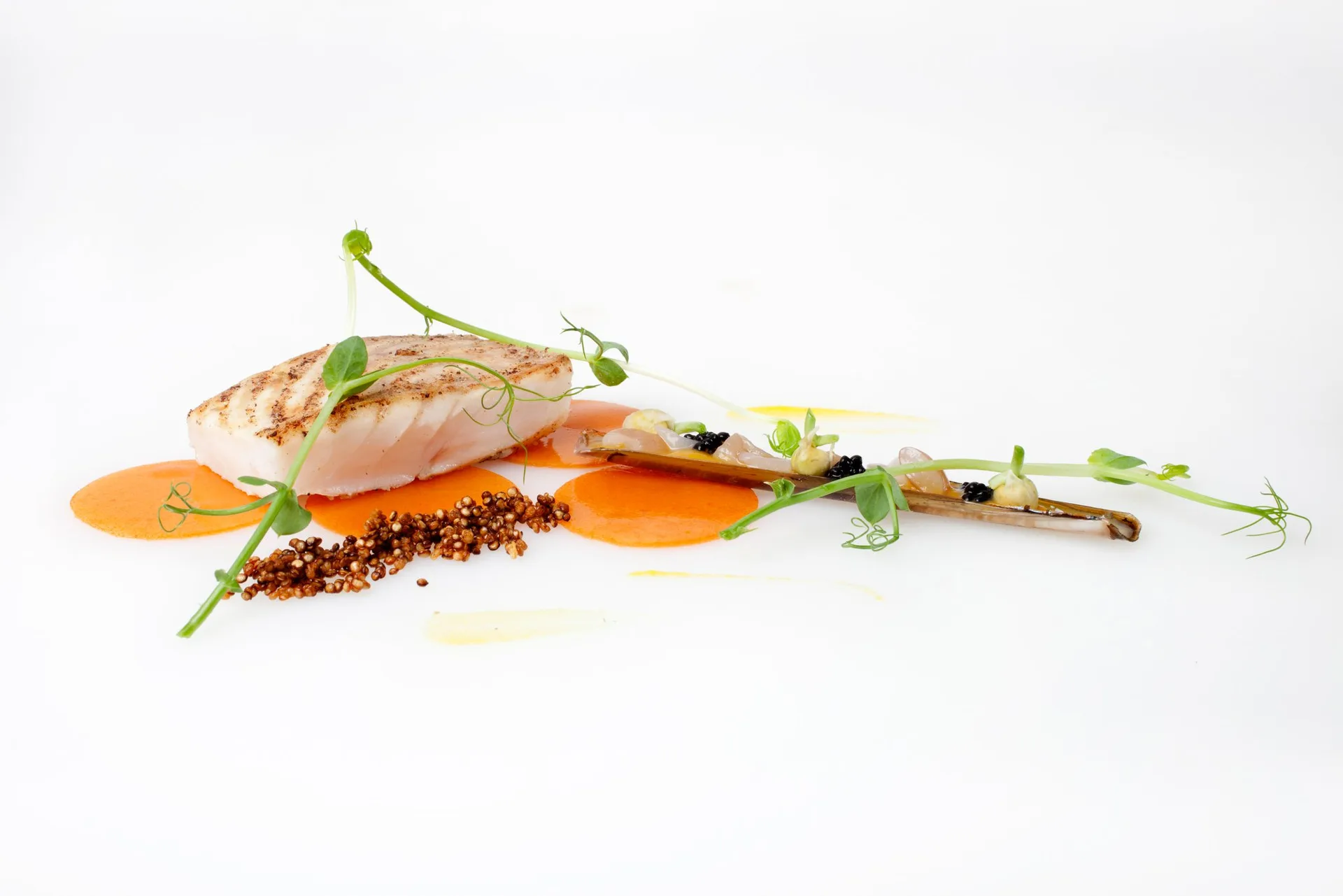 Fidalgo — food