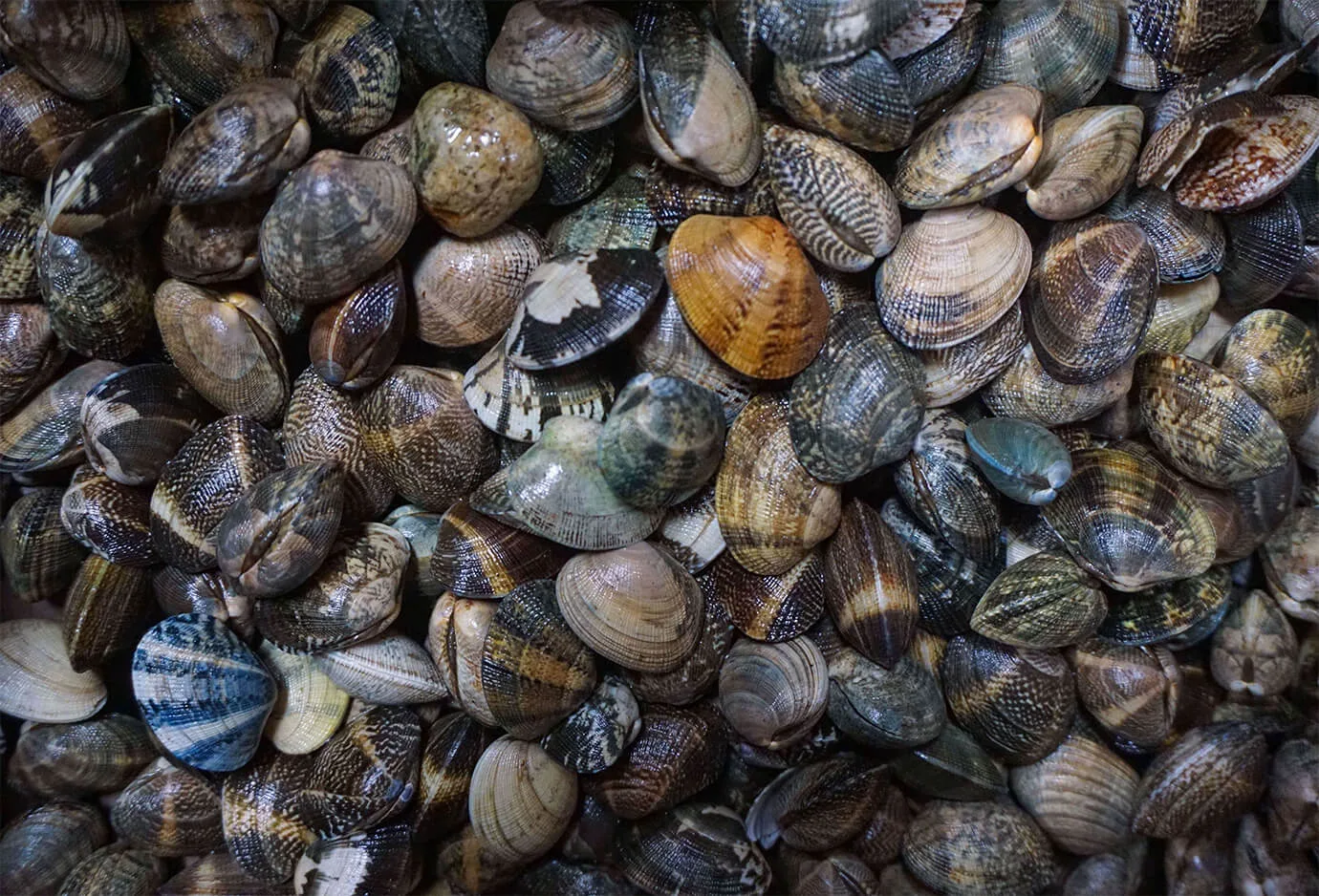 Fanny Bay Oyster Bar — food