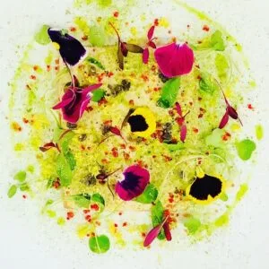 Jérôme Ferrer - Europea — photo 10