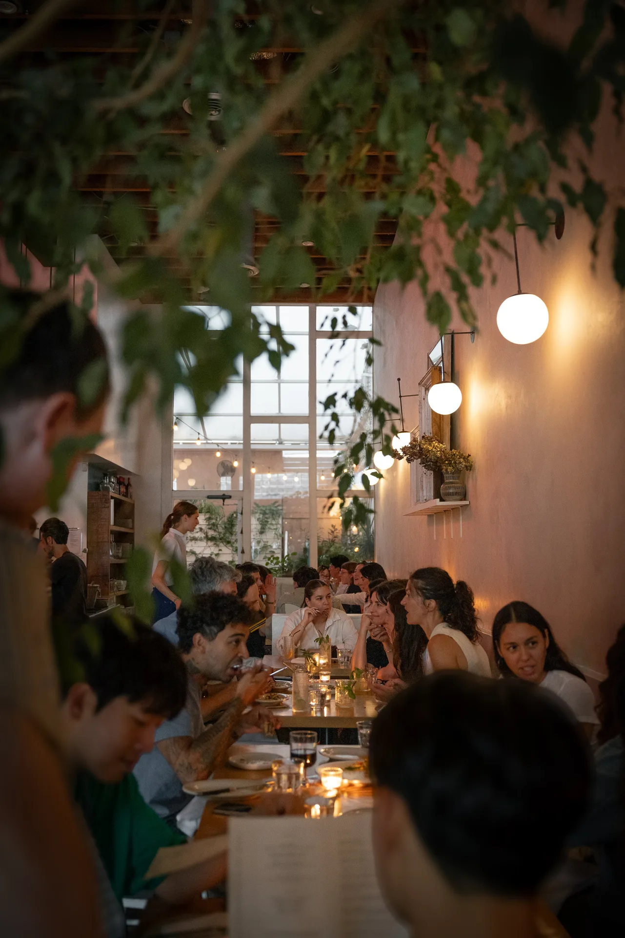 Botanica — photo 22