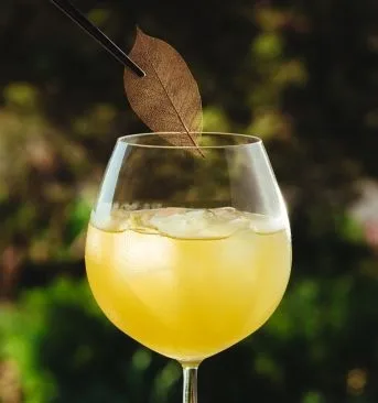 Belvedere — drink