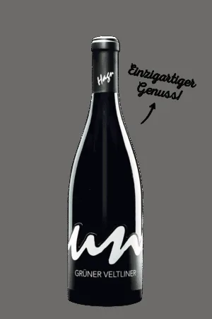 Weindomizil Hagn, Hollabrunn