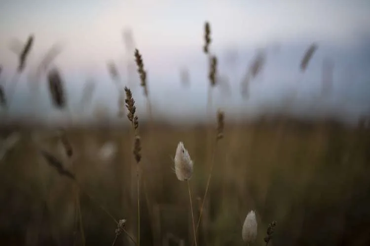La Marine, Noirmoutier-en-l'Île